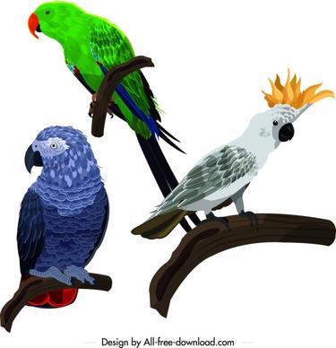 parrot icons perching gesture design colorful sketch