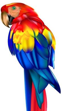 parrot icon colorful closeup 3d design