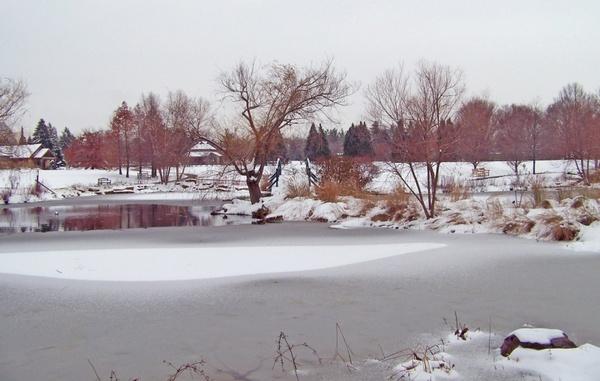 partially frozen pond
