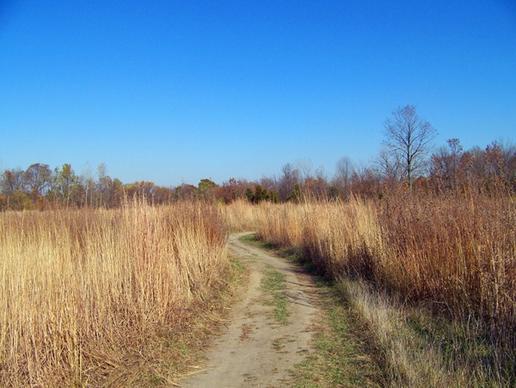 path field autumn