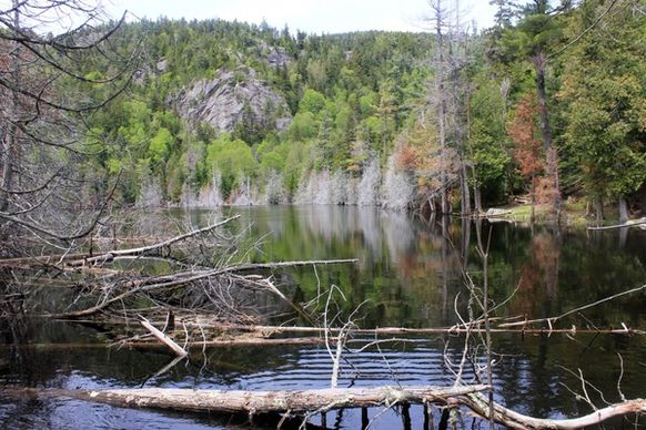peaceful lake on the mountain in the adirondack mountains new york