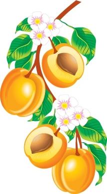 fruit background peaches flowers branch icons decor