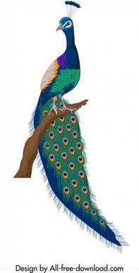 peacock icon colorful elegant decor