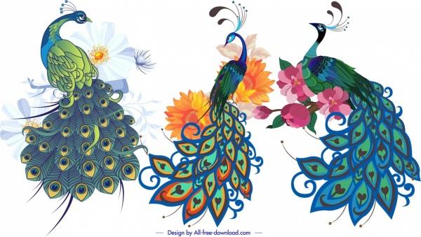 peacock icons colorful classical handdrawn sketch