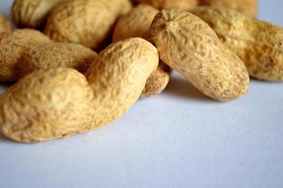 peanut nuts