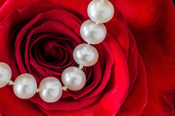 pearls and rose