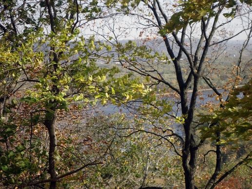 peering at mississippi through trees at effigy mounds iowa