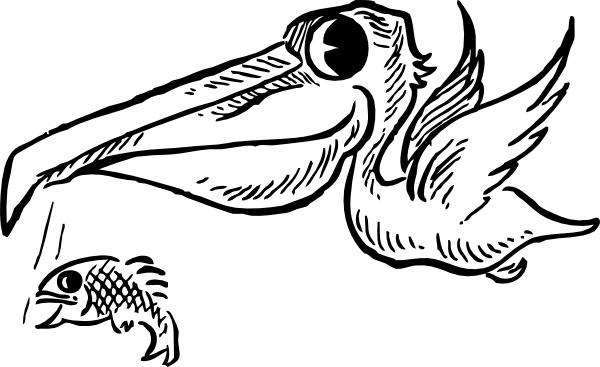 Pelican With Fish clip art