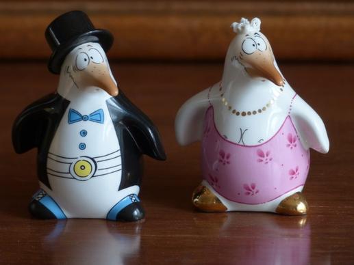 penguin bride groom