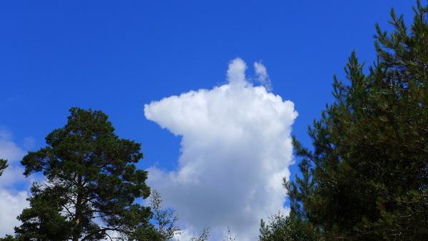 peppa pig cloud