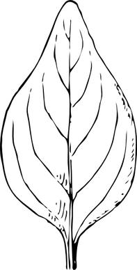 Periwinkle Leaf clip art