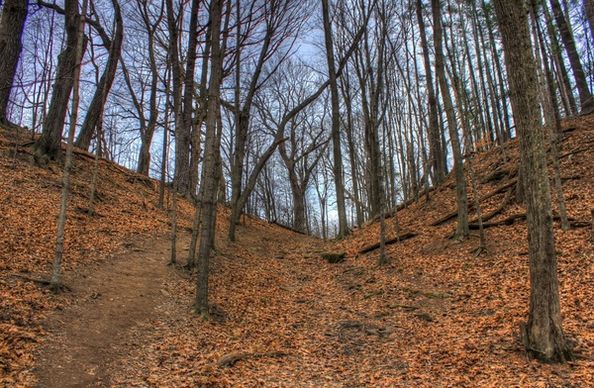 photo of the hill at pewits nest natural area wisconsin