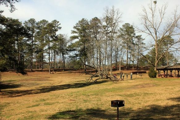 picnic area and landscape at high falls state park georgia