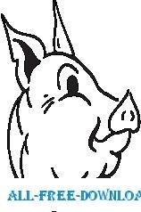 Pig 22