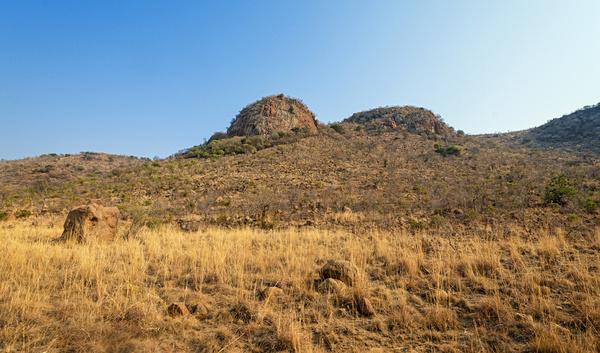 pilanesberg landscape ii