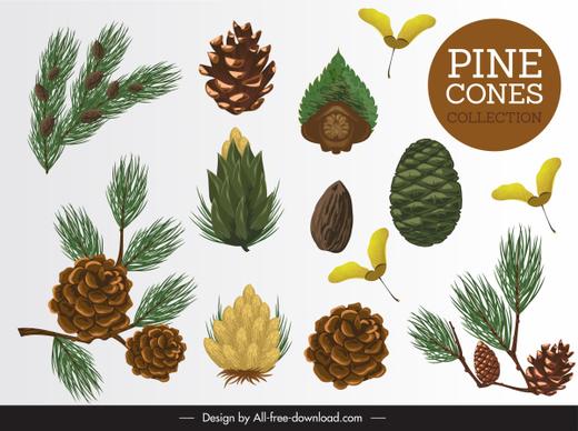pine design elements leaf seed flower sketch