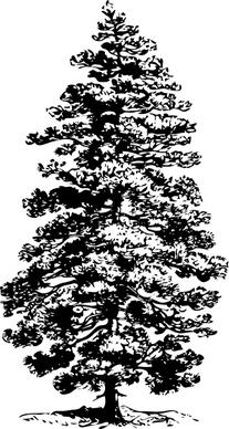 Pine Tree clip art