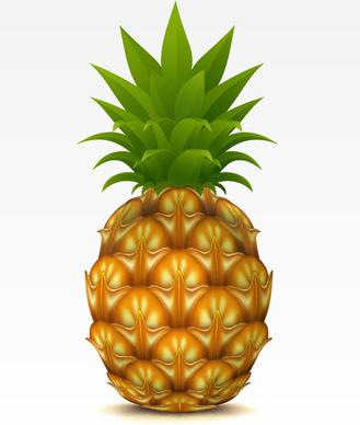 pineapple design elements vector graphic