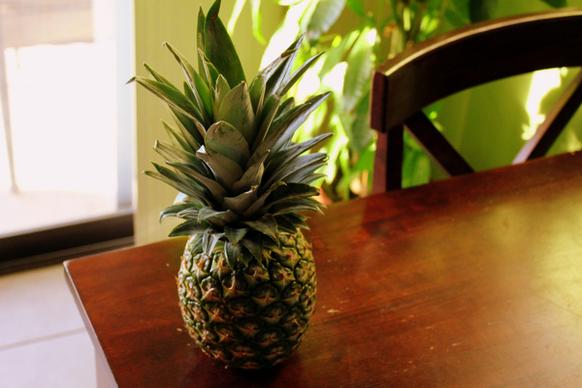 pineapple fun step 1