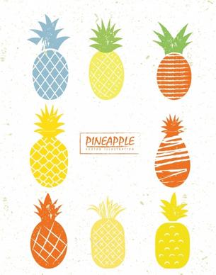 pineapple icons collection various colored design