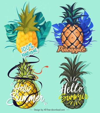 pineapple label templates colorful classical flat design