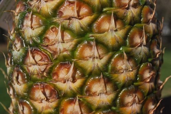 pineapple skin