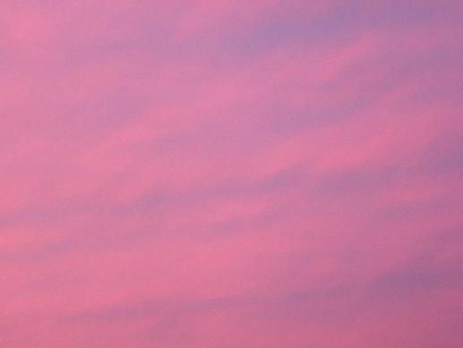 pink evening sky