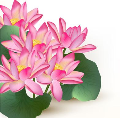 pink lotus design elements vector