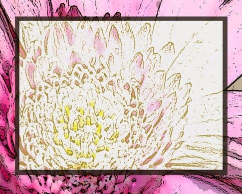 pink lotus invitation