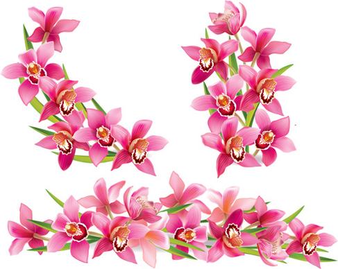 pink orchids design vector