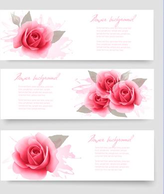 pink rose banner vector design