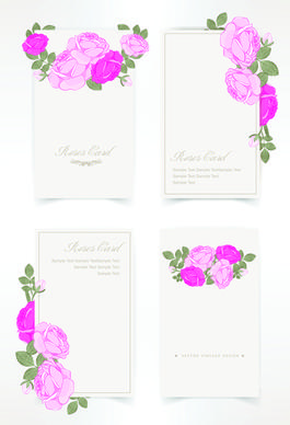 pink rose with card vector design graphic