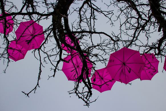 pink umbrellas