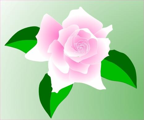 Pink-rose clip art