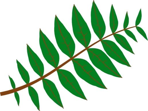 Pinnate Leaf clip art