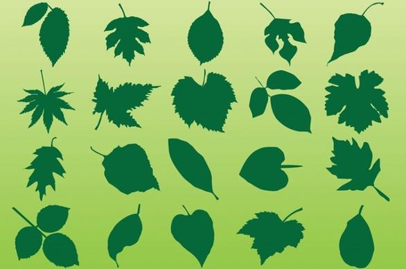 Plant Leaves Vectors