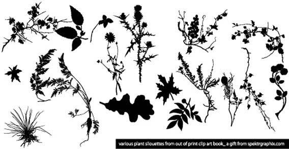Plant silhouettes vector