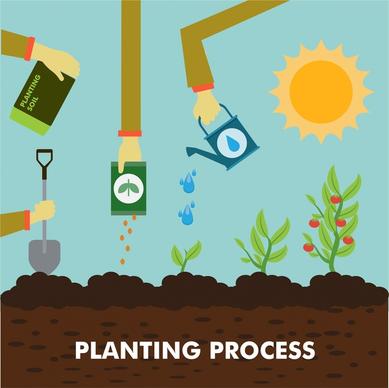 planting process concept illustration with colored flat style