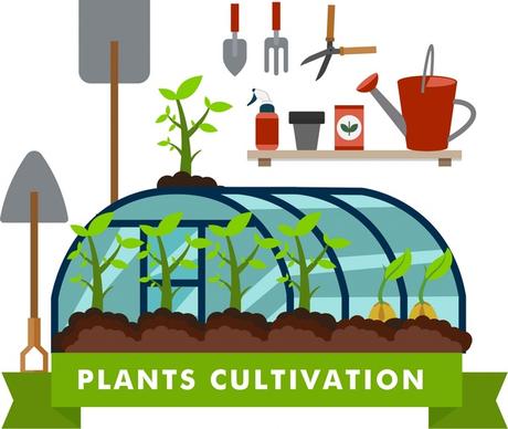 plants cultivation concept illustration with tools and glasshouse