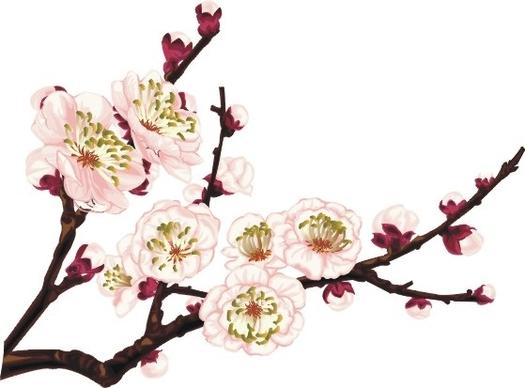 cherry blossom icon design closeup classical style