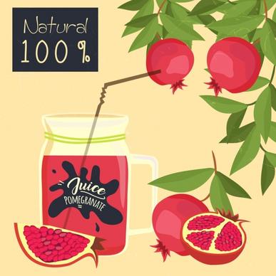 pomegranate advertising fruit glass jar icons classical design