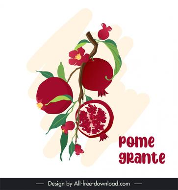 pomegranate fruit  design elements flat classic leaves flowers