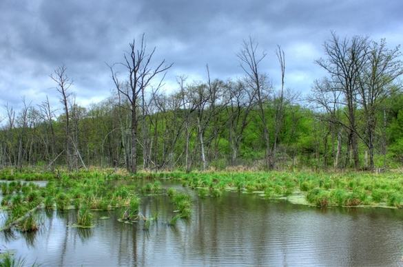 pond and trees at kickapoo valley reserve wisconsin