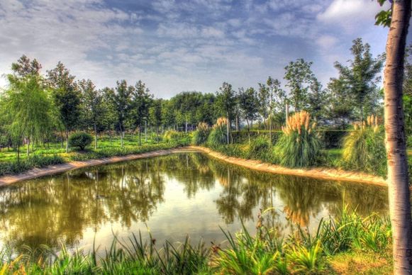 pond landscape and sky in nanjing china