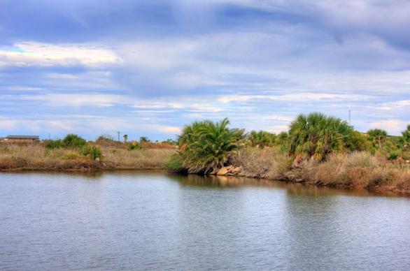 pond landscape at galveston island state park