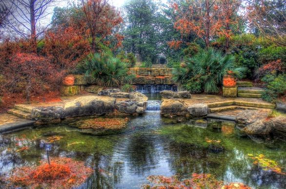 pond landscape in garden in dallas texas