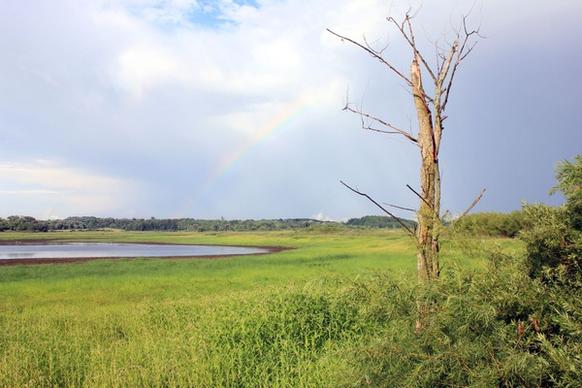 pond with rainbow in richard bong recreation area