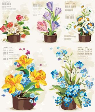 pots of flowers vector