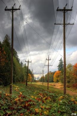 power lines electrical la
