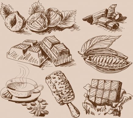 cacao food design elements vintage handdrawn sketch